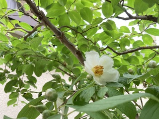 私が見張っておきたいものは