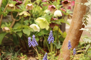 モヤモヤを「悪者」にしないで、これからの未来の話をしよう