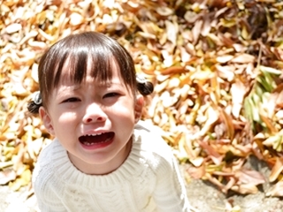 おやつを買ってと言われた時、ホントはイヤだけど親は子どもの為に買ってあげるべき？